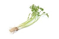 japanese-parsley