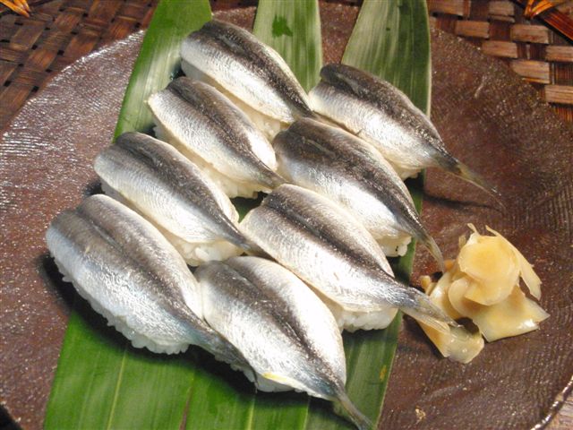 ママカリ鮨